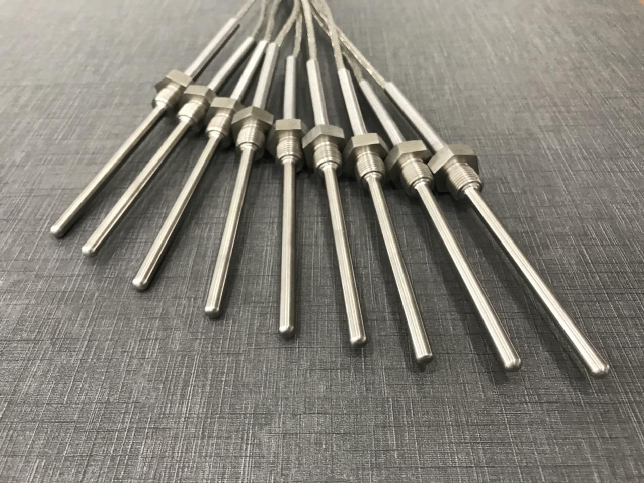 Đầu dò nhiệt độ Pt100 dạng dây